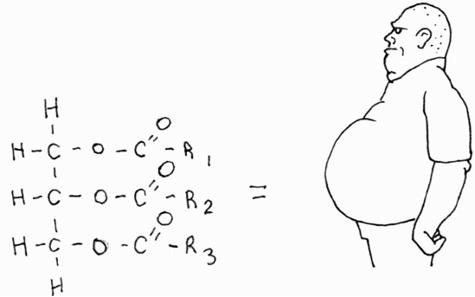 Иллюстрация к книге — Палеодиета – живое питание для здоровья [i_010.jpg]