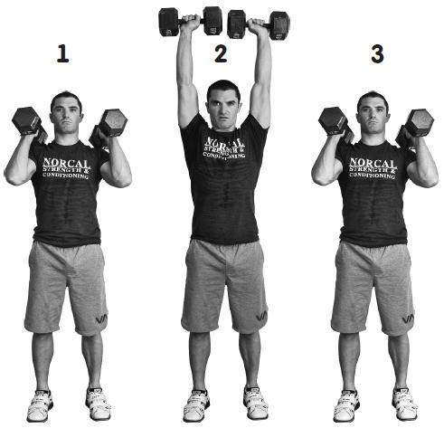 Иллюстрация к книге — Палеодиета – живое питание для здоровья [i_021.jpg]