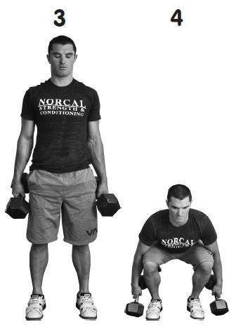 Иллюстрация к книге — Палеодиета – живое питание для здоровья [i_028.jpg]