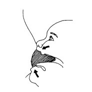 Иллюстрация к книге — Растим малыша от 0 до 2 лет [Autogen_eBook_id6.jpg]