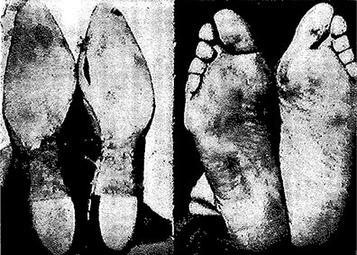 Иллюстрация к книге — Совершенное тело за 4 часа [i_090.jpg]