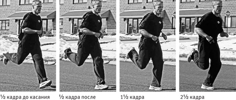 Иллюстрация к книге — Совершенное тело за 4 часа [i_123.jpg]