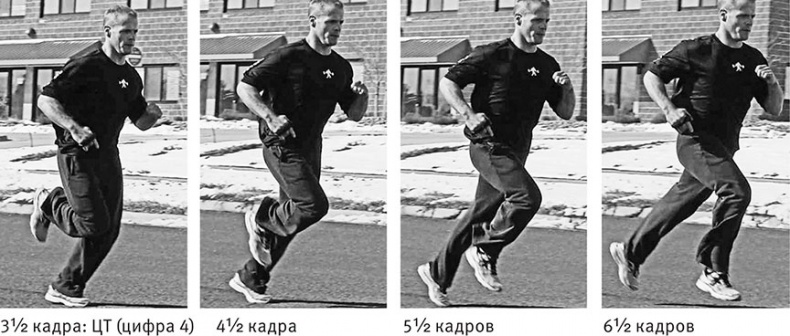 Иллюстрация к книге — Совершенное тело за 4 часа [i_124.jpg]