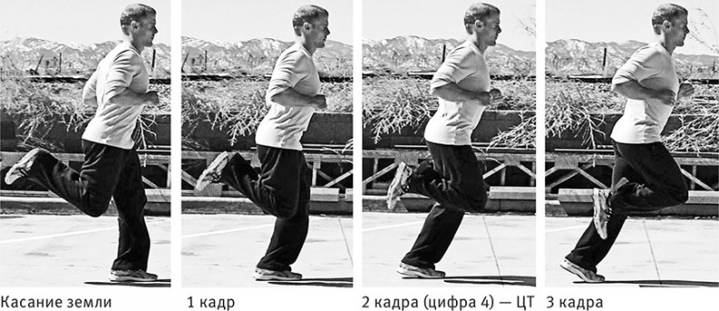 Иллюстрация к книге — Совершенное тело за 4 часа [i_126.jpg]