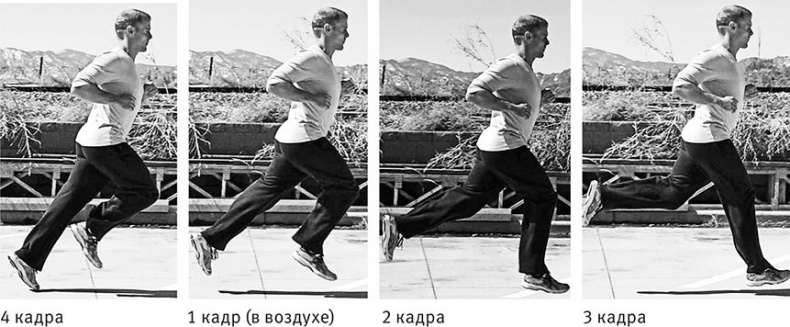 Иллюстрация к книге — Совершенное тело за 4 часа [i_127.jpg]