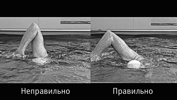 Иллюстрация к книге — Совершенное тело за 4 часа [i_158.jpg]