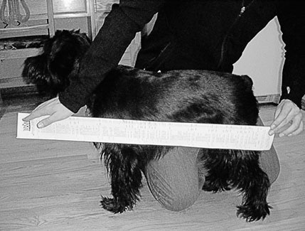 Иллюстрация к книге — Совершенное тело за 4 часа [i_186.jpg]