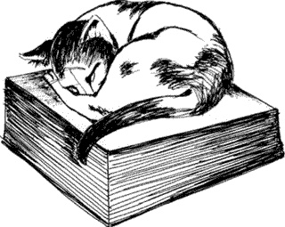 Иллюстрация к книге — Ковчег для Робинзона. Все о жизни морского кочевника [i_021.jpg]