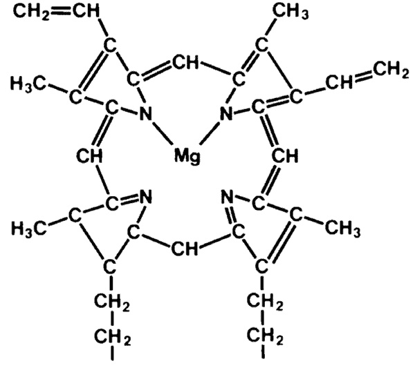 Иллюстрация к книге — Ковчег для Робинзона. Все о жизни морского кочевника [i_026.jpg]