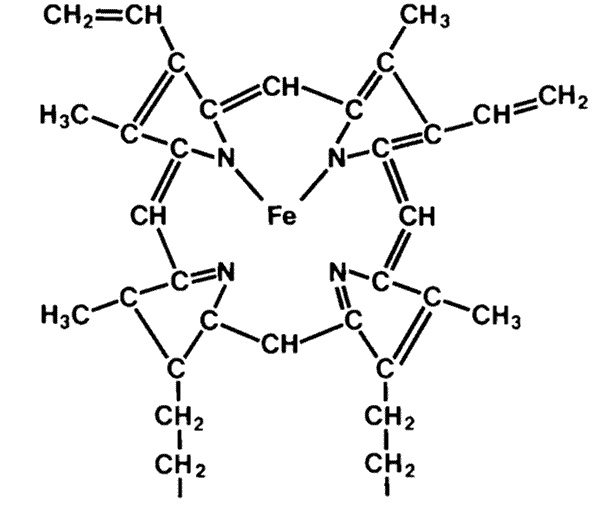Иллюстрация к книге — Ковчег для Робинзона. Все о жизни морского кочевника [i_027.jpg]