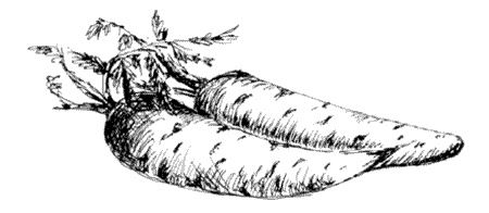 Иллюстрация к книге — Ковчег для Робинзона. Все о жизни морского кочевника [i_031.jpg]