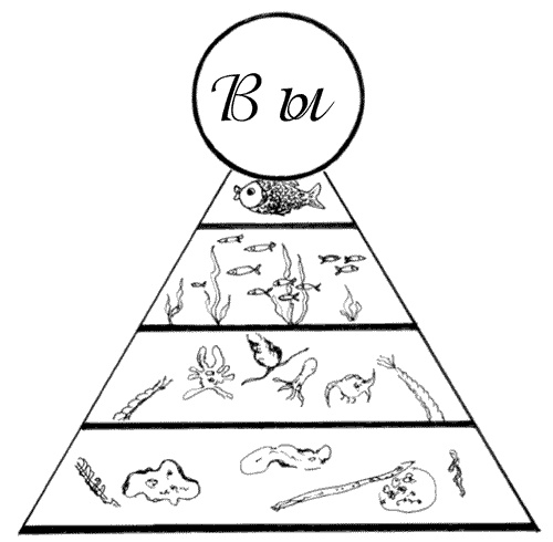 Иллюстрация к книге — Ковчег для Робинзона. Все о жизни морского кочевника [i_036.jpg]