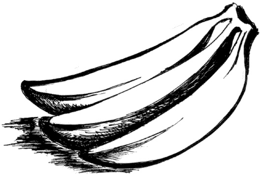 Иллюстрация к книге — Ковчег для Робинзона. Все о жизни морского кочевника [i_061.jpg]