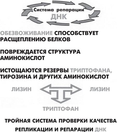 Иллюстрация к книге — Вода – натуральное лекарство от ожирения, рака, депрессии [i_014.jpg]