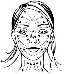 Иллюстрация к книге — Макияж. Краткая энциклопедия [i_024.jpg]