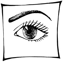 Иллюстрация к книге — Макияж. Краткая энциклопедия [i_033.jpg]