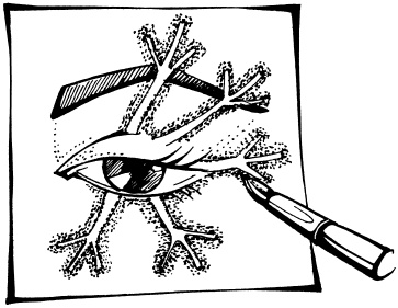 Иллюстрация к книге — Макияж. Краткая энциклопедия [i_111.jpg]