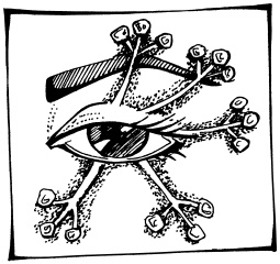 Иллюстрация к книге — Макияж. Краткая энциклопедия [i_113.jpg]