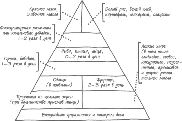 Иллюстрация к книге — Моложе с каждым годом. Как дожить до 100 лет бодрым, здоровым и счастливым [i_019.jpg]