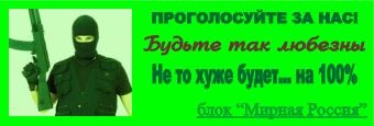 Иллюстрация к книге — Пережить бы выборы [_11.jpg]