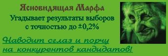 Иллюстрация к книге — Пережить бы выборы [_12.jpg]