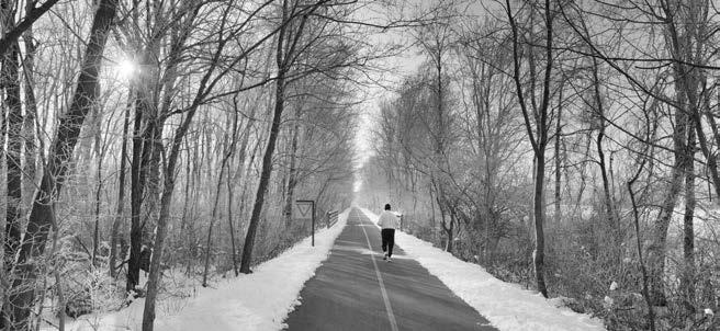 Иллюстрация к книге — Бег для всех. Доступная программа тренировок [i_007.jpg]