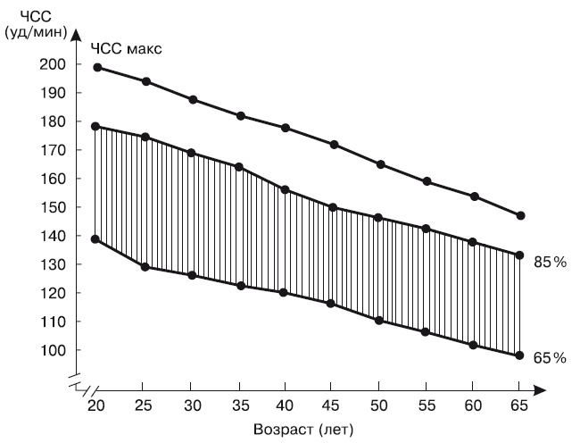 Иллюстрация к книге — Бег для всех. Доступная программа тренировок [i_015.jpg]