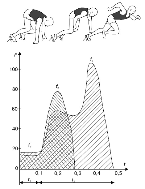 Иллюстрация к книге — Бег для всех. Доступная программа тренировок [i_040.jpg]
