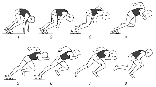 Иллюстрация к книге — Бег для всех. Доступная программа тренировок [i_041.jpg]