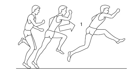 Иллюстрация к книге — Бег для всех. Доступная программа тренировок [i_045.jpg]