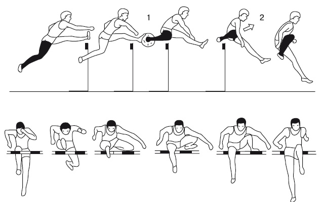 Иллюстрация к книге — Бег для всех. Доступная программа тренировок [i_046.jpg]