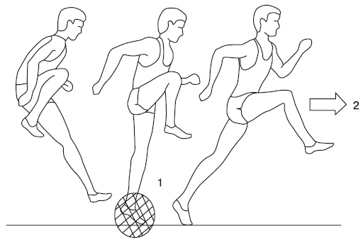 Иллюстрация к книге — Бег для всех. Доступная программа тренировок [i_047.jpg]