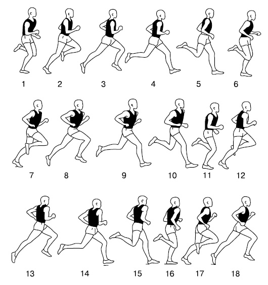 Иллюстрация к книге — Бег для всех. Доступная программа тренировок [i_059.jpg]