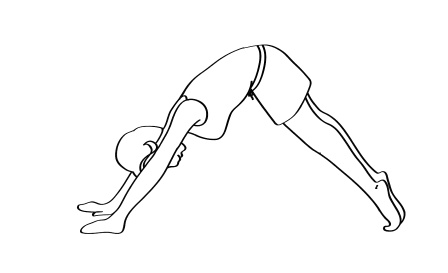 Иллюстрация к книге — Гимнастика для диабетиков [i_014.jpg]