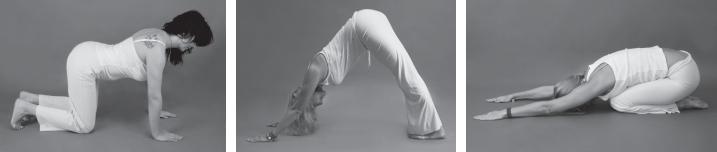 Иллюстрация к книге — Йога для стройности, здоровья и красоты [_05_.jpg]