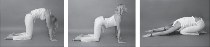 Иллюстрация к книге — Йога для стройности, здоровья и красоты [_86_.jpg]