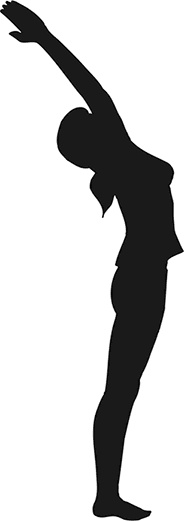 Иллюстрация к книге — Йога для всех. Руководство для начинающих [i_016.jpg]