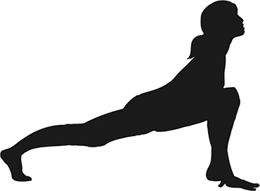 Иллюстрация к книге — Йога для всех. Руководство для начинающих [i_018.jpg]