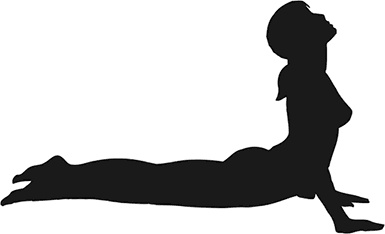 Иллюстрация к книге — Йога для всех. Руководство для начинающих [i_021.jpg]