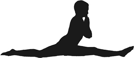 Иллюстрация к книге — Йога для всех. Руководство для начинающих [i_025.jpg]