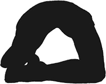 Иллюстрация к книге — Йога для всех. Руководство для начинающих [i_035.jpg]