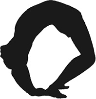 Иллюстрация к книге — Йога для всех. Руководство для начинающих [i_036.jpg]