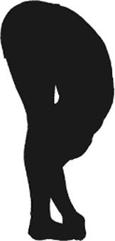 Иллюстрация к книге — Йога для всех. Руководство для начинающих [i_039.jpg]