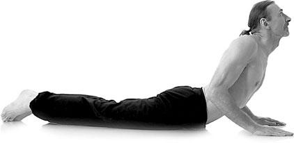 Иллюстрация к книге — Йога. Для тех, у кого «нет времени». Минимум усилий, максимум результата! [i_010.jpg]