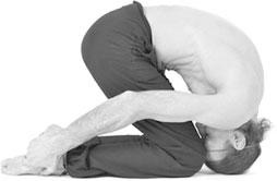 Иллюстрация к книге — Йога. Для тех, у кого «нет времени». Минимум усилий, максимум результата! [i_014.jpg]