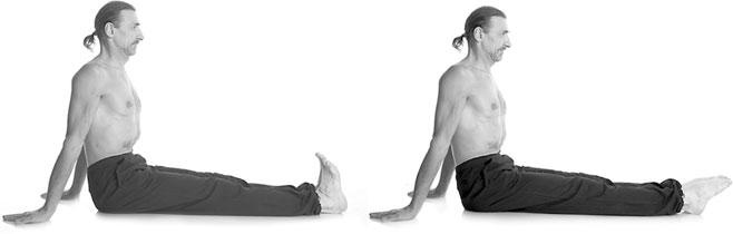 Иллюстрация к книге — Йога. Для тех, у кого «нет времени». Минимум усилий, максимум результата! [i_017.jpg]