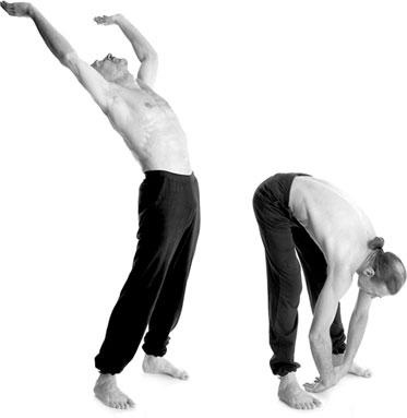 Иллюстрация к книге — Йога. Для тех, у кого «нет времени». Минимум усилий, максимум результата! [i_024.jpg]