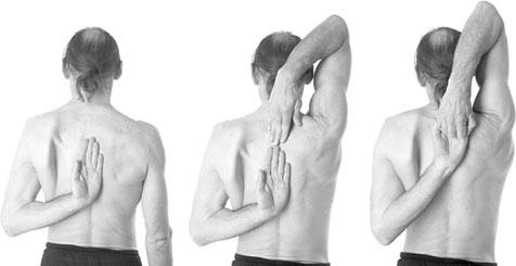 Иллюстрация к книге — Йога. Для тех, у кого «нет времени». Минимум усилий, максимум результата! [i_025.jpg]