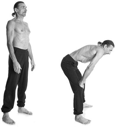 Иллюстрация к книге — Йога. Для тех, у кого «нет времени». Минимум усилий, максимум результата! [i_074.jpg]