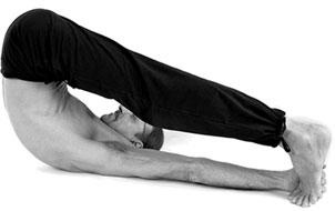 Иллюстрация к книге — Йога. Для тех, у кого «нет времени». Минимум усилий, максимум результата! [i_100.jpg]